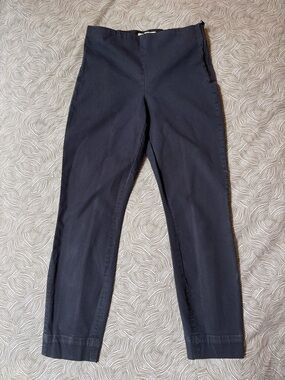 Everlane Navy Bi-Stretch Work Pant